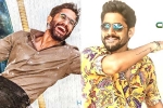 Naga Chaitanya films, Naga Chaitanya news, naga chaitanya gearing up with two films, Sushant