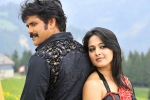 Nagarjuna new film, Nag's next, nag and anushka to team up, Om namo venkatesaya