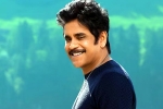 Nagarjuna and Rashmika Mandanna updates, Nagarjuna and Rashmika Mandanna film, nagarjuna s surprise in dhanush s film, Dhanush