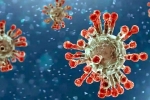 China Covid Row news, Coronavirus, new china coronavirus variant traced in india, Omicron