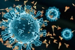 XEC Covid Variant symptoms, XEC Covid Variant 2024, new xec covid variant detected in 27 countries, Omicron