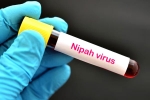 Nipah Virus, Nipah Virus in Kerala, nipah virus is back again two deaths registered, World health organization