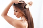 Healthy Hair tips, Healthy Hair types of nuts, nutrition tips for a healthy hair, Hair care products Healthy Hair tips, Healthy Hair types of nuts, nutrition tips for a healthy hair, Hair care products