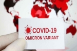 US scientists, Omicron USA news, omicron is no worse than other variants says us scientists, Anthony fauci