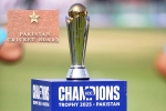 PCB, Champions Trophy 2025, pcb suffers rs 869 crore loss in champions trophy, Zealand