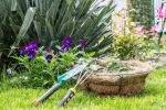 Plants that attract Snakes experts, Plants that attract Snakes names, five plants that attract snakes at home, Spots