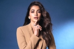 Pooja Hegde next films, Pooja Hegde upcoming films, pooja hegde lines up bollywood films, Sajid nadiadwala