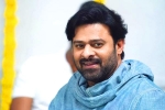 Prabhas next movie, Jaan, prabhas jaan delayed further, Weightloss