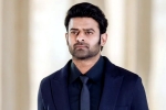 Prabhas next film, People Media Factory, new updates of prabhas and maruthi film, Boman irani