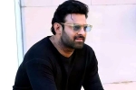 Prabhas25 news, Adipurush, prabhas to offer a new treat for his fans, Prabhas25
