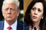 Amy Tripp Astrology, Amy Tripp internet, astrologer predictions about the new us president, Amy tripp