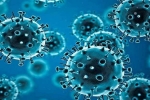 USA, R.1 Coronavirus news, r 1 variant of coronavirus traced in 35 countries, Coronavirus usa