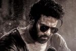 Salaar 2 latest breaking, Salaar 2 news, new update from salaar 2, Shruti haasan