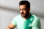 Salman Khan news, Chiranjeevi news, salman khan coming for chiranjeevi and charan, Lucifer remake