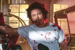 King, Shah Rukh Khan new film, shah rukh khan to play a don in king, Siddharth anand