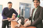 NRI visits India for surgery of his pet dog, NRI treats his pet Dog in India, nri visits india for pet surgery, Pet dog