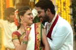 Allari Naresh movie review, Silly Fellows movie review, silly fellows movie review rating story cast and crew, Dr v srinivas rao
