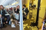 Singapore Airlines, Singapore Airlines accident, one dead and 30 injured in singapore airlines turbulence horror, Singapore airlines turbulence