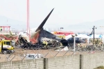 South Korea Plane Crash cause, South Korea Plane Crash reason, pilot made mayday call and mentioned bird strike in south korea plane crash, Runway