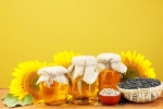 Sunflower Oil doctors, Sunflower Oil health benefits, long term effects of consuming sunflower oil on heart health, Leuk