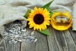 Sunflower seeds advantages, Sunflower seeds, sunflower seeds and their nutritional benefits, Healthy breakfast