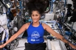 Sunita Williams breaking, Sunita Williams latest breaking, indian origin astronaut sunita williams battling radiation and bone weakness, Space mission