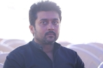Suriya updates, PETA, suriya s legal notice on peta, Jallikattu Suriya updates, PETA, suriya s legal notice on peta, Jallikattu