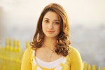 Queen Remake, Tamannaah next film, tamannaah locked for a bollywood remake, Milky beauty