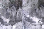Seven Terrorists backed by Pak Rangers shot in Jammu