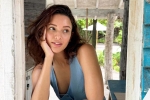 Triptii Dimri movies, Triptii Dimri news, triptii dimri is eager to sign hollywood films, Hollywood