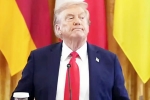 Trump Tariff on India news, Trump Tariff on India new updates, trump imposed tariffs on india to pressurize russia, Ukraine