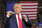 President, Donald Trump, trump permanently banned from twitter, 2020 presidential elections