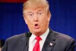 US weekly, Trump's investments in India, donald trump s investments in india to impact us foreign policy, Trump s win US weekly, Trump's investments in India, donald trump s investments in india to impact us foreign policy, Trump s win