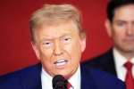 Donald Trump Tariff War with India updates, Steve Hanke about Donald Trump, top us economist on trump s tariff war with india, Brics