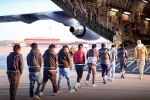 USA Illegal Immigrants news, USA Illegal Immigrants updates, usa arrests over 500 illegal immigrants, Sexual abuse