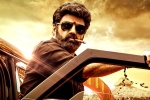 Balakrishna, Veera Simha Reddy Telugu states, veera simha reddy sankranthi weekend collections, Veera simha reddy