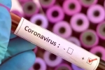 Cure for coronavirus, Coronavirus may never go, who warns covid 19 may never go away then what s the future of the world, Us federal reserve