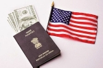 Green Card, Permanent Residency, work permit of h1b visa holder s spouses will be refused, Hib visa