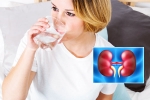 Water for kidneys, Kidney Health water, how much water intake is needed for kidney health, Kidney health