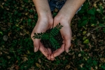 earth, recycle, what can you do to save earth, New born