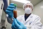 government, government, when can the world expect an effective covid 19 vaccine, Anthony fauci