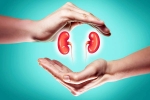 World Kidney Day 2025 experts, World Kidney Day 2025, world kidney day 2025 theme and health tips, Obesity