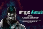 latest stills Yaanum Theeyavan, Yaanum Theeyavan Kollywood movie, yaanum theeyavan tamil movie, Varsha bollamma
