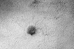 Martian spider, spider on Mars, yards long spider on mars nasa, Red planet