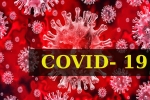 Coronavirus, COVID- 19, who renames the deadly coronavirus as covid 19, Snakes