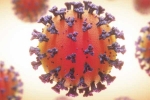 Coronavirus health updates, Coronavirus symptoms, coronavirus is not related to respiratory system says study, Body organs