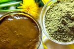 Henna conditioner, Henna breaking news, how henna helps for hair growth and health, Henna for hair