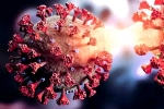 Covid-19 in China, Covid-19, new and highly infectious covid 19 variant emerges in china, New coronavirus variant