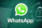 iOS Testing Multi-Account Support for WhatsApp breaking news, iOS Testing Multi-Account Support for WhatsApp latest update, whatsapp for ios testing multi account support, Messi