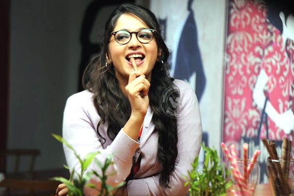 Nine Stars To Feature In Size Zero},{Nine Stars To Feature In Size Zero